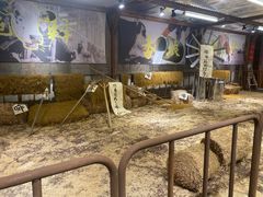 -重庆十八梯传统风貌区