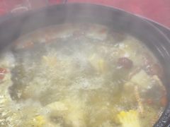 -花苑美食横琴生蚝火锅(拱北粤华路店)
