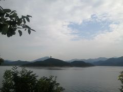 -望湖烤鱼