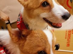 -天井·丑面包搭咖啡
