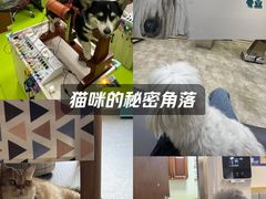 -美联众合动物医院·24h转诊中心