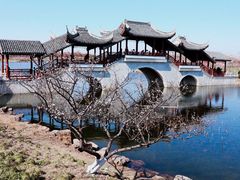 -上海海湾国家森林公园