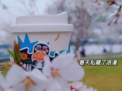 -Beans Solo豆号咖啡(百家湖花园店)
