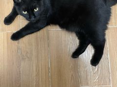 -达爱动物医院·犬猫分区·CT·复杂眼科(远洋山水分院)