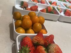 -汤崎·汤泉生活(福田口岸店)