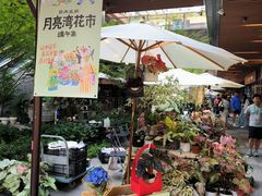 -瑞虹新天地月亮湾