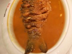 -阿五黄河大鲤鱼(纬三路店)