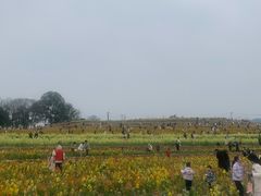 -三圣花乡旅游区