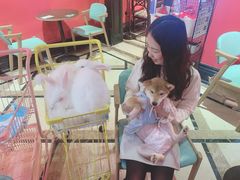 -猫色咖啡·猫咖