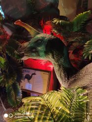 -恐龙探索乐园(磁器口店)