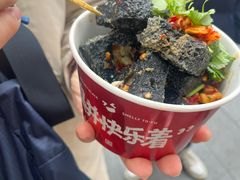 -黑色经典臭豆腐·湖南特产(坡子街店)