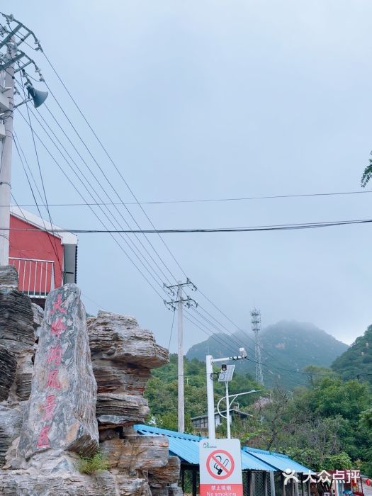 大岭沟猕猴桃谷风景区图片