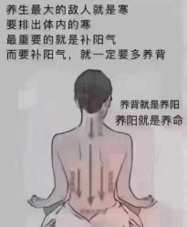 -天姿美容·美体科技SPA·艾姿美店