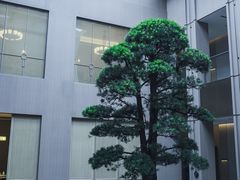 -外滩·云南人家(昆明旗舰店)