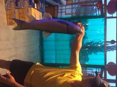 iphone_upload_pic-白洋淀锅里口灶台鱼