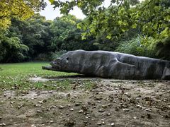 -上海吴淞炮台湾国家湿地公园