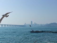 -星海广场