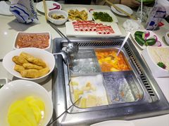 -海底捞火锅(吾悦国际广场店)