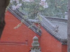 -洛阳白马寺