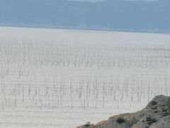 -北岐滩涂