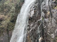 -姑婆山旅游区