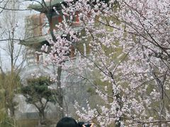 -迎泽公园