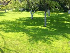 -浙江西子宾馆·瑶园咖啡厅