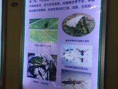 -上海昆虫博物馆