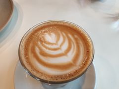 拿铁-Soloist 独奏公司(798店)