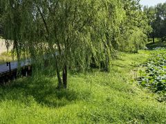 -东郊湿地公园