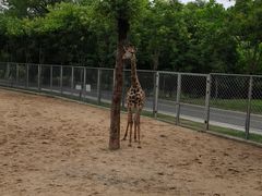 -南京金牛湖风景区