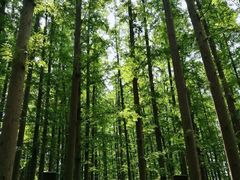 -南京金牛湖风景区