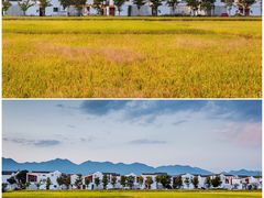 -东梓关景区村庄