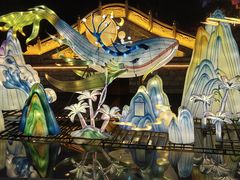 -祥源·阜阳生态乐园