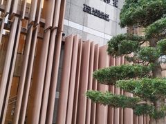 -深圳罗湖木棉花凯悦尚选酒店•大堂吧