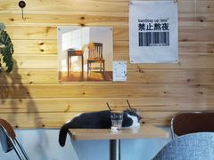 -豆柴町-柴犬主题狗咖(红鼎国际C座店)
