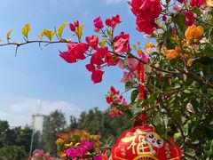 -中国科学院华南植物园