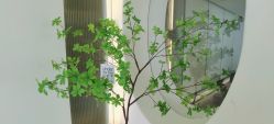 -欧莉瑜伽·普拉提馆