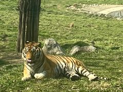 -西安秦岭野生动物园