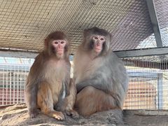 -北京市海淀外国语实验学校