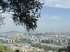 -火炉山森林公园