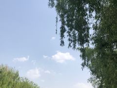 -长白岛森林公园