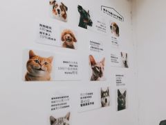 -萌小它宠物健康管理中心(怡海家园店)