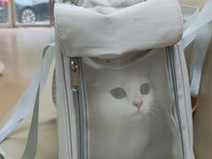 -宠颐生中康贝怡动物医院
