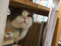 -小时光咖啡馆(开森度假森林店)