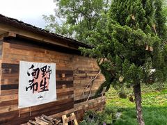 -长沙黑麋峰国家森林公园