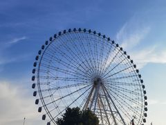 -富华游乐园