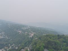 -南山植物园