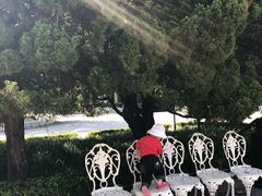 -青岛德国总督楼旧址博物馆
