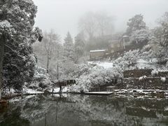 -莫干山风景区
